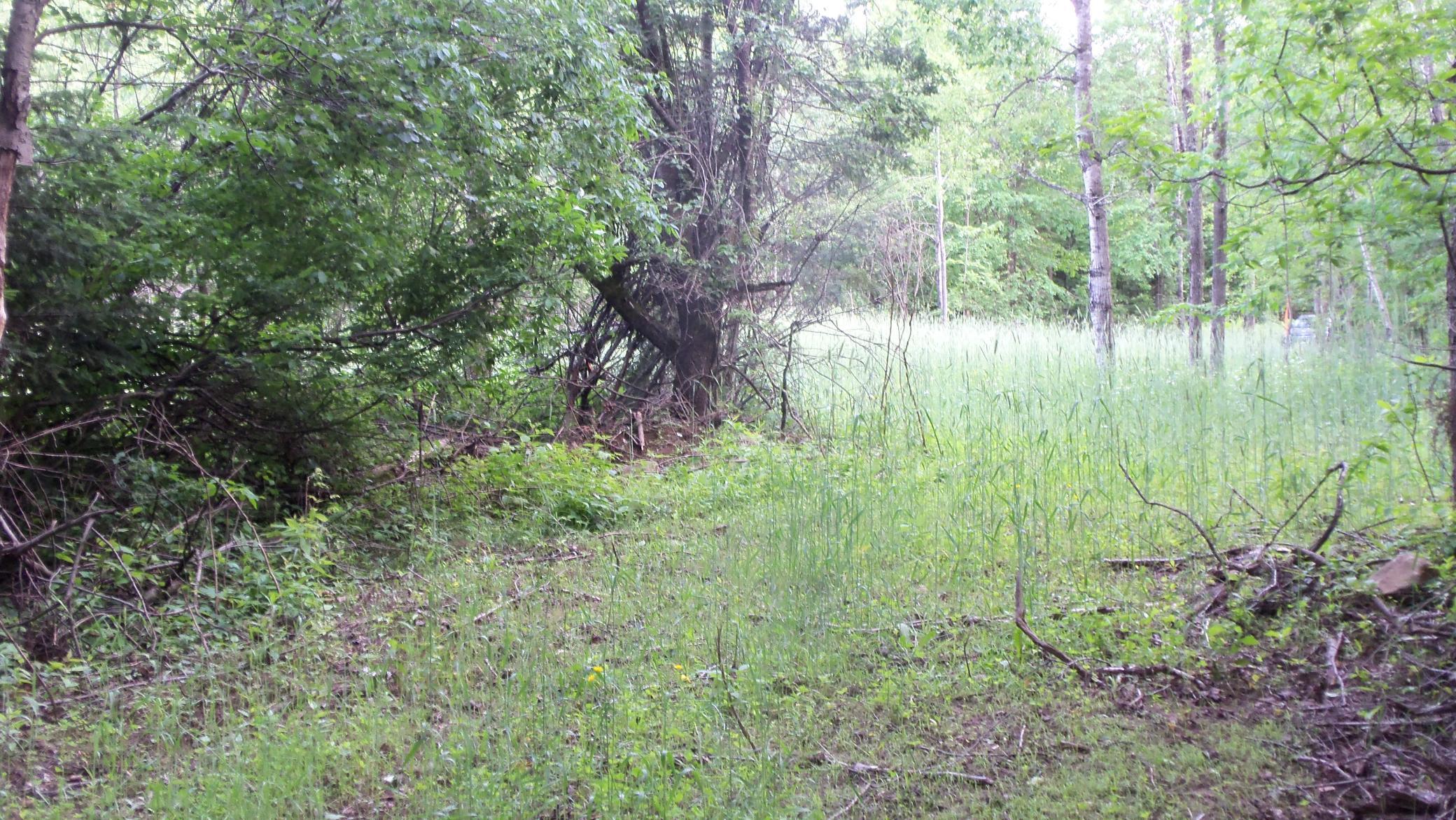 90-acres Kornstead Road Mellen, WI 54546 - Photo 15 of 42