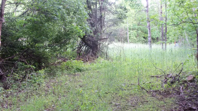 $159,900 | 90-acres 90-acres Kornstead Road, Mellen, WI 54546