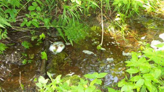 $159,900 | 90-acres 90-acres Kornstead Road, Mellen, WI 54546