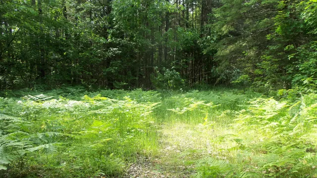 $159,900 | 90-acres 90-acres Kornstead Road, Mellen, WI 54546