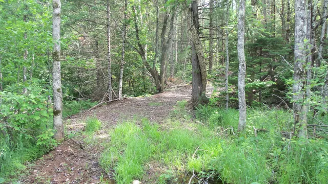$159,900 | 90-acres 90-acres Kornstead Road, Mellen, WI 54546