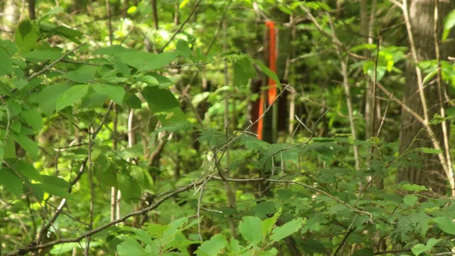 $159,900 | 90-acres 90-acres Kornstead Road, Mellen, WI 54546