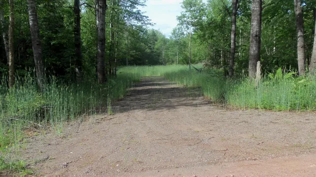 $159,900 | 90-acres 90-acres Kornstead Road, Mellen, WI 54546