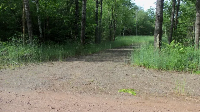 $159,900 | 90-acres 90-acres Kornstead Road, Mellen, WI 54546