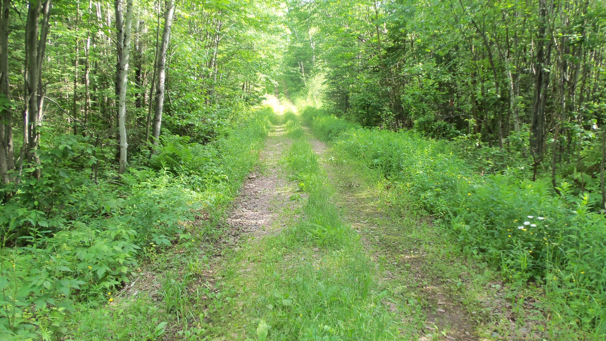 90-acres Kornstead Road Mellen, WI 54546 - Photo 27 of 42