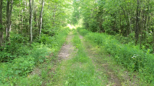$159,900 | 90-acres 90-acres Kornstead Road, Mellen, WI 54546