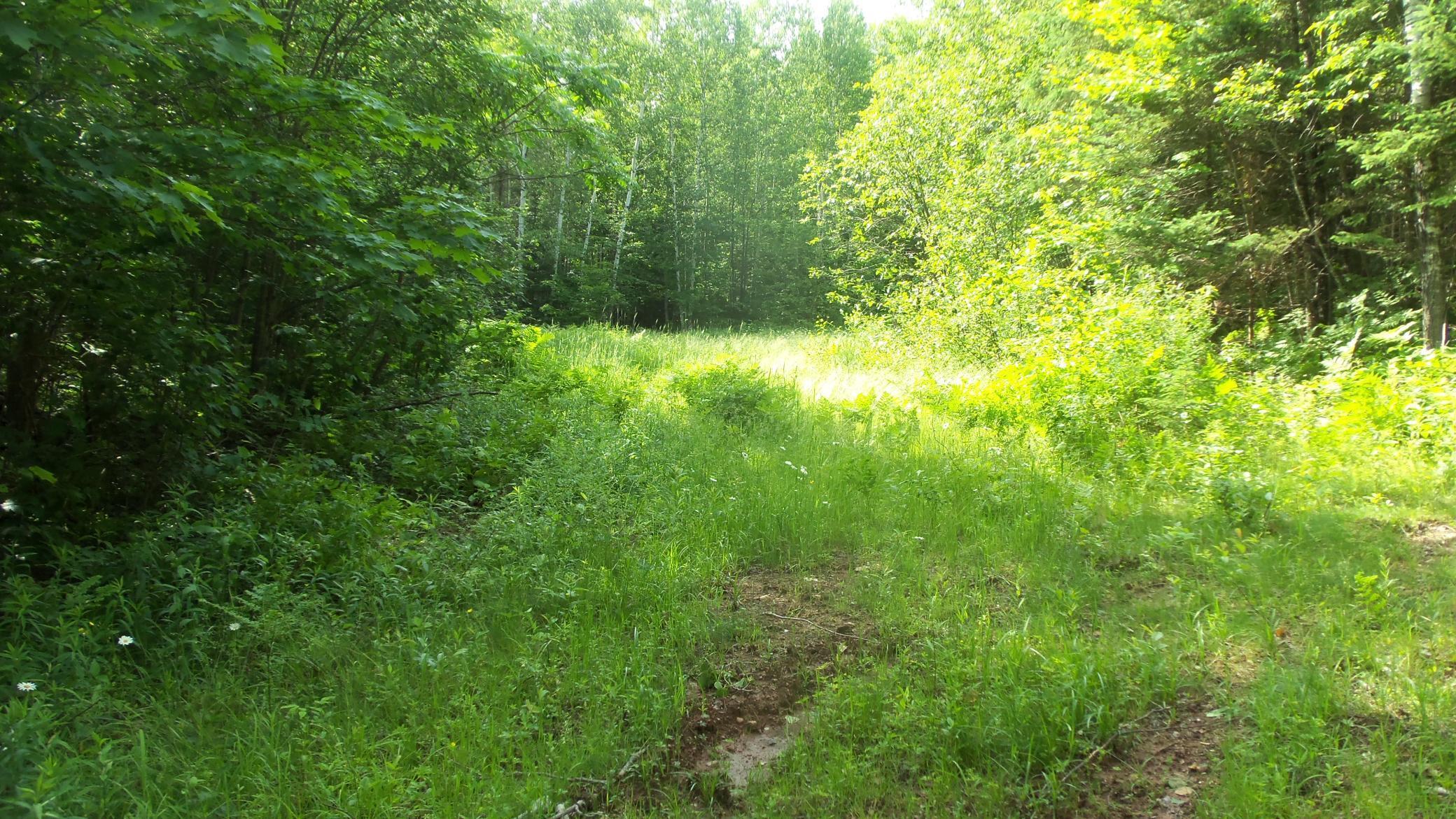 90-acres Kornstead Road Mellen, WI 54546 - Photo 28 of 42