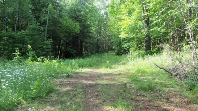 $159,900 | 90-acres 90-acres Kornstead Road, Mellen, WI 54546