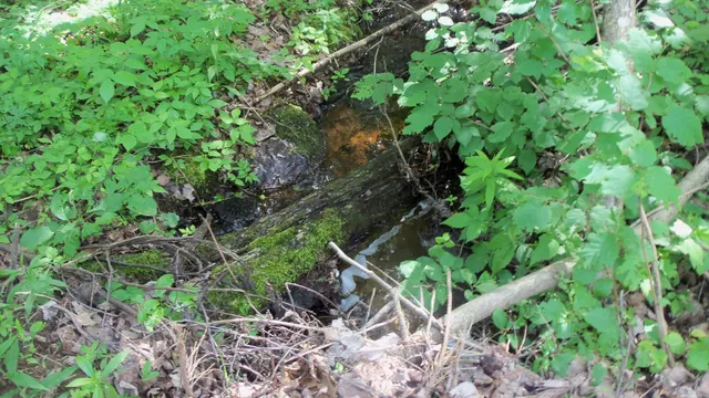 $159,900 | 90-acres 90-acres Kornstead Road, Mellen, WI 54546