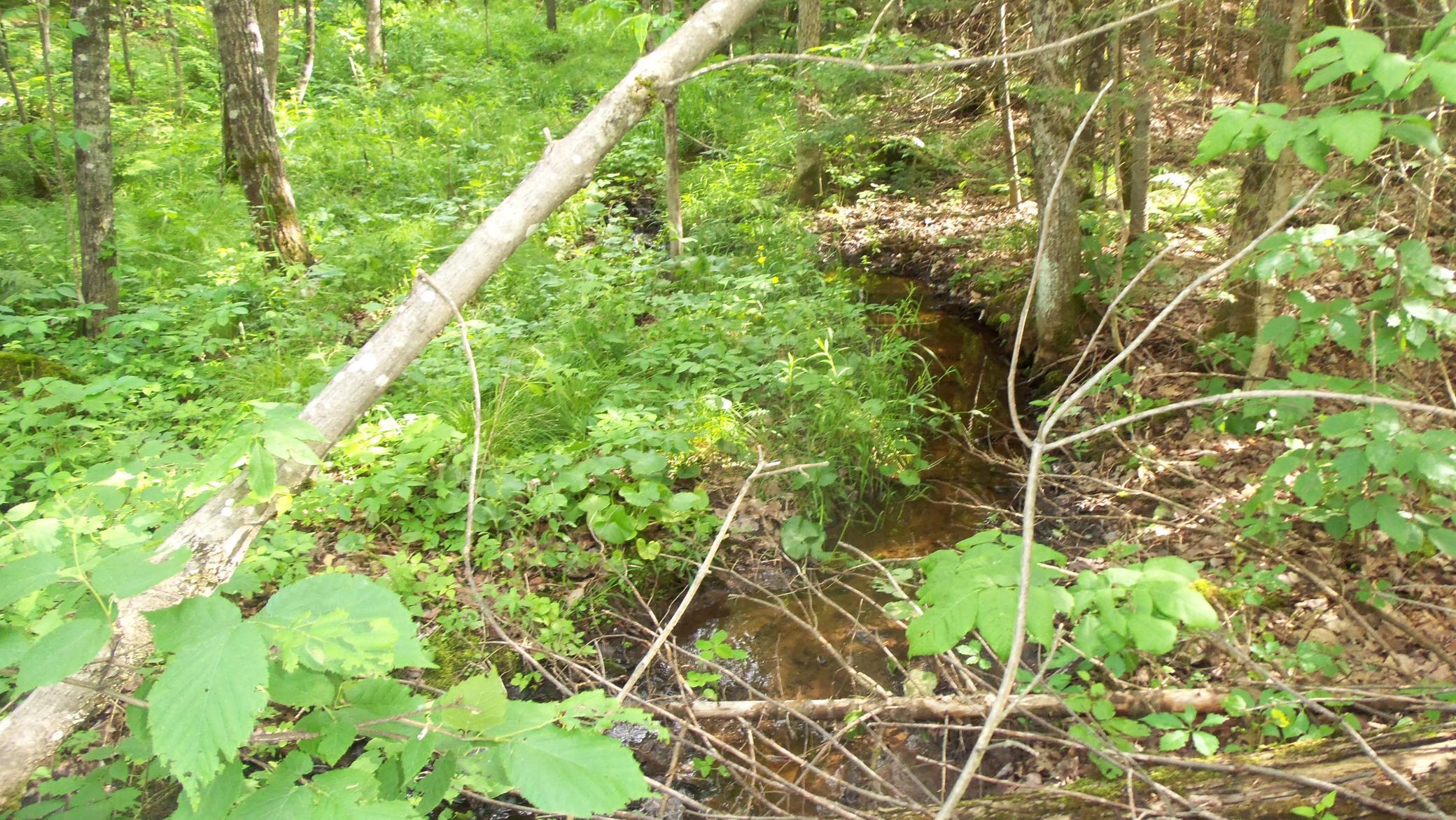 90-acres Kornstead Road Mellen, WI 54546 - Photo 33 of 42