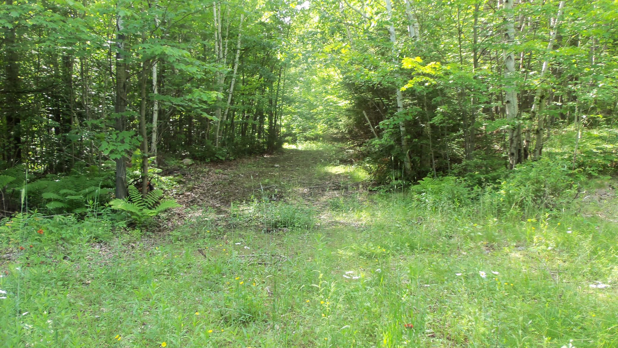 90-acres Kornstead Road Mellen, WI 54546 - Photo 34 of 42