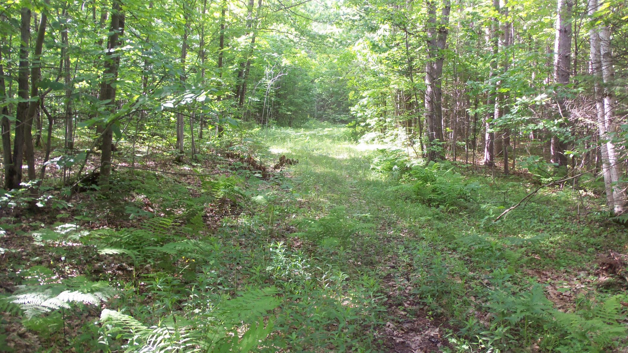 90-acres Kornstead Road Mellen, WI 54546 - Photo 37 of 42