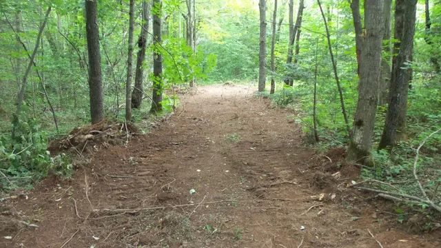 $159,900 | 90-acres 90-acres Kornstead Road, Mellen, WI 54546