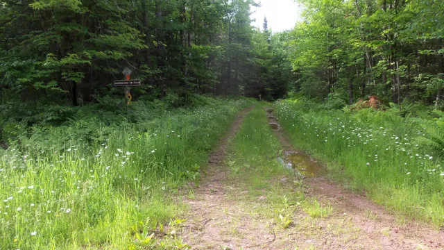 $159,900 | 90-acres 90-acres Kornstead Road, Mellen, WI 54546