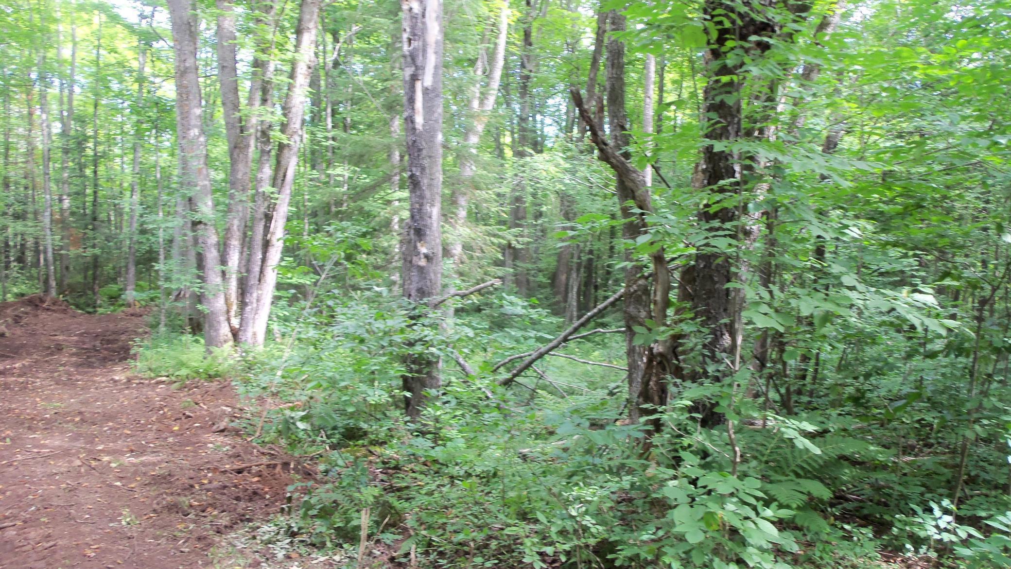 90-acres Kornstead Road Mellen, WI 54546 - Photo 5 of 42