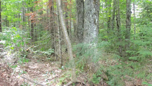 $159,900 | 90-acres 90-acres Kornstead Road, Mellen, WI 54546