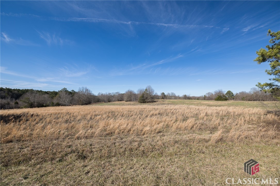 Tract5 A B Martin Road Good Hope, GA 30641 - Photo 20 of 21