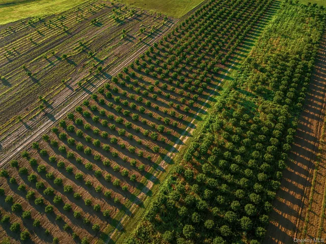 a close up of a sink