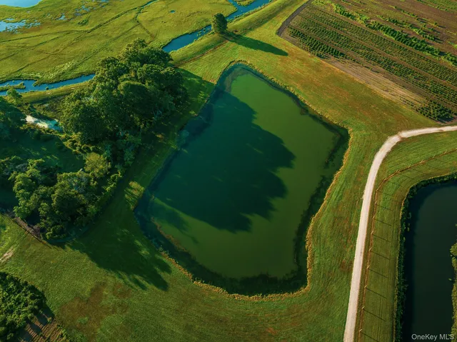a view of an outdoor space