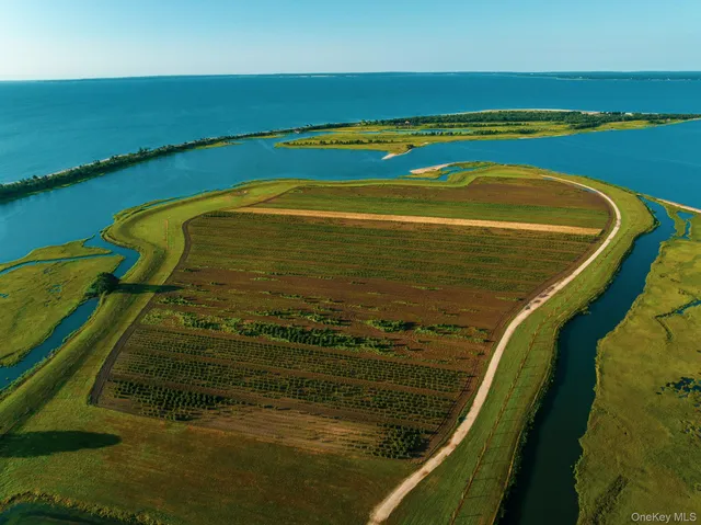 a view of an ocean and a yard