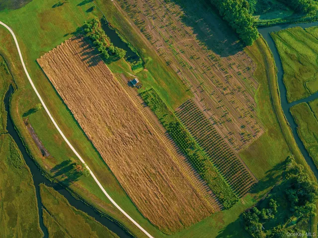a view of a lake from a yard