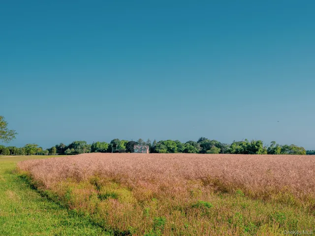 a view of a yard and an ocean