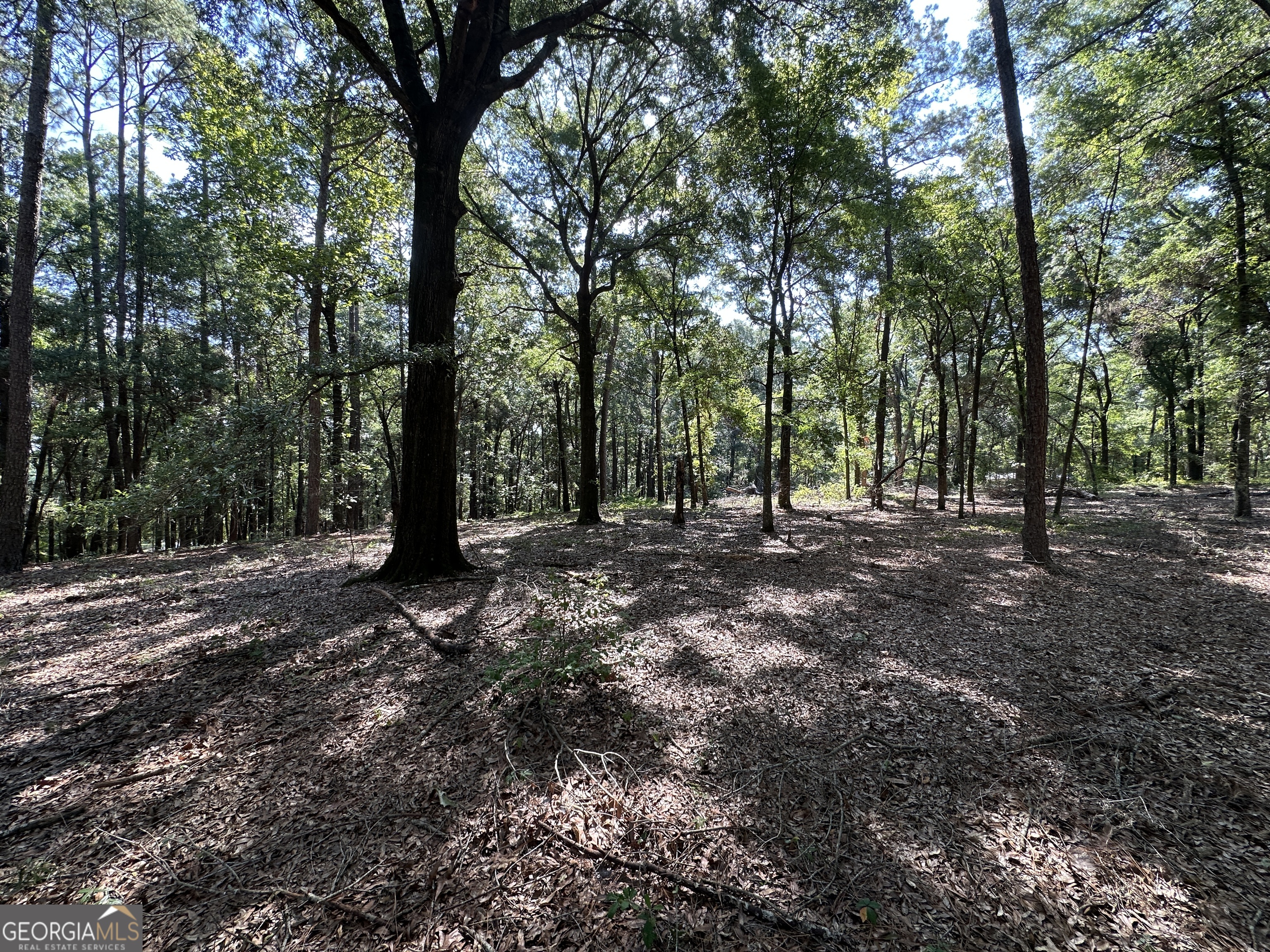 3852 Poor Robin Road Sylvania, GA 30467 - Photo 18 of 24
