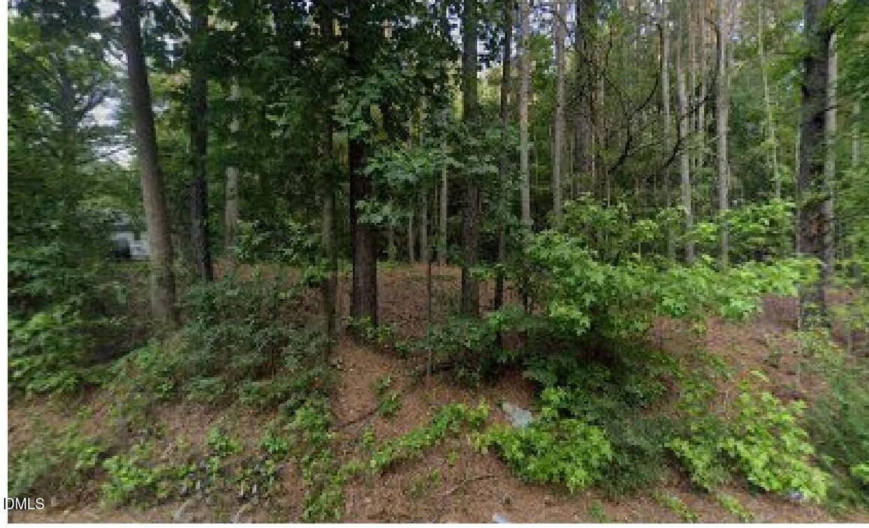 7626 White Oak Road Garner, NC 27529 - Photo 5 of 12 a view of a forest with trees in the background