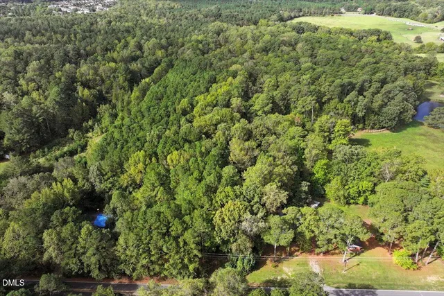 an aerial view of forest