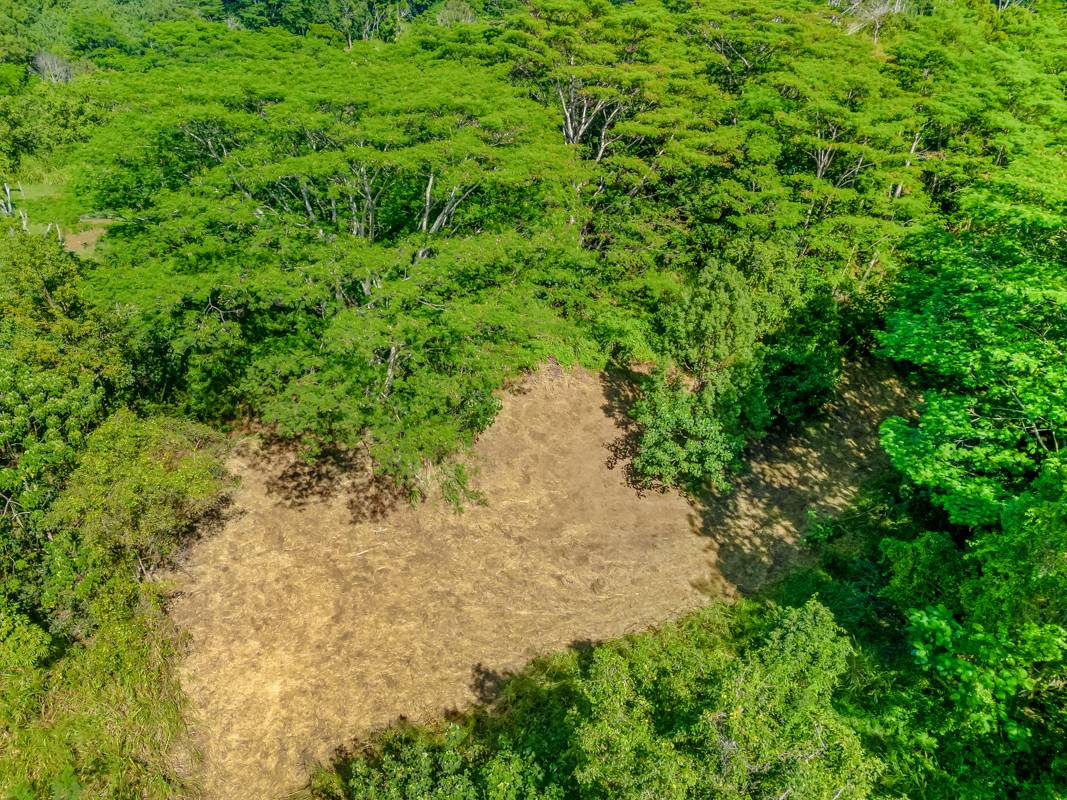 St, Unit 1B Kapaa, HI 96746 - Photo 2 of 8