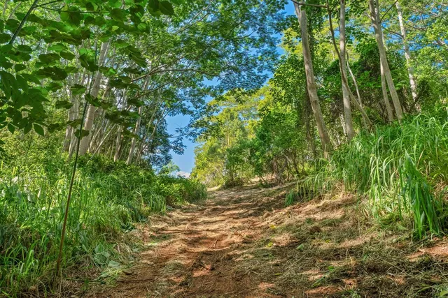 $490,000 | St, Unit 1B, Kapaa, HI 96746