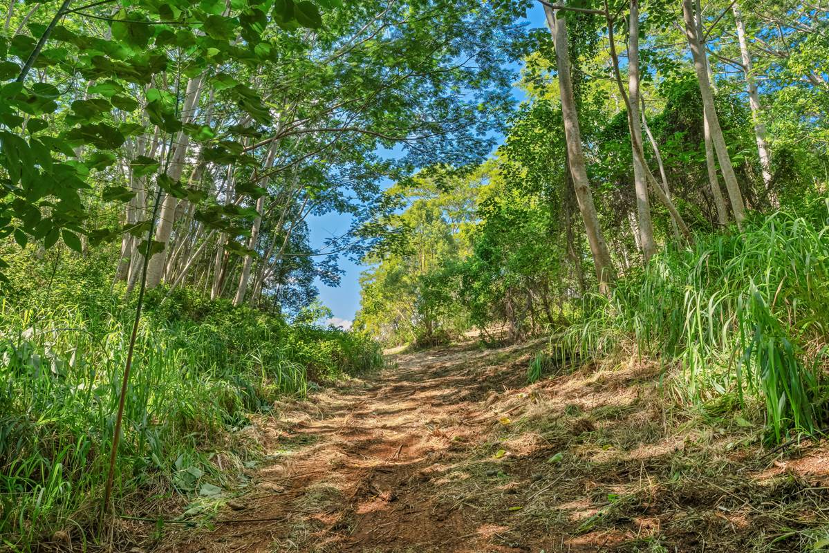 St, Unit 1B Kapaa, HI 96746 - Photo 4 of 8