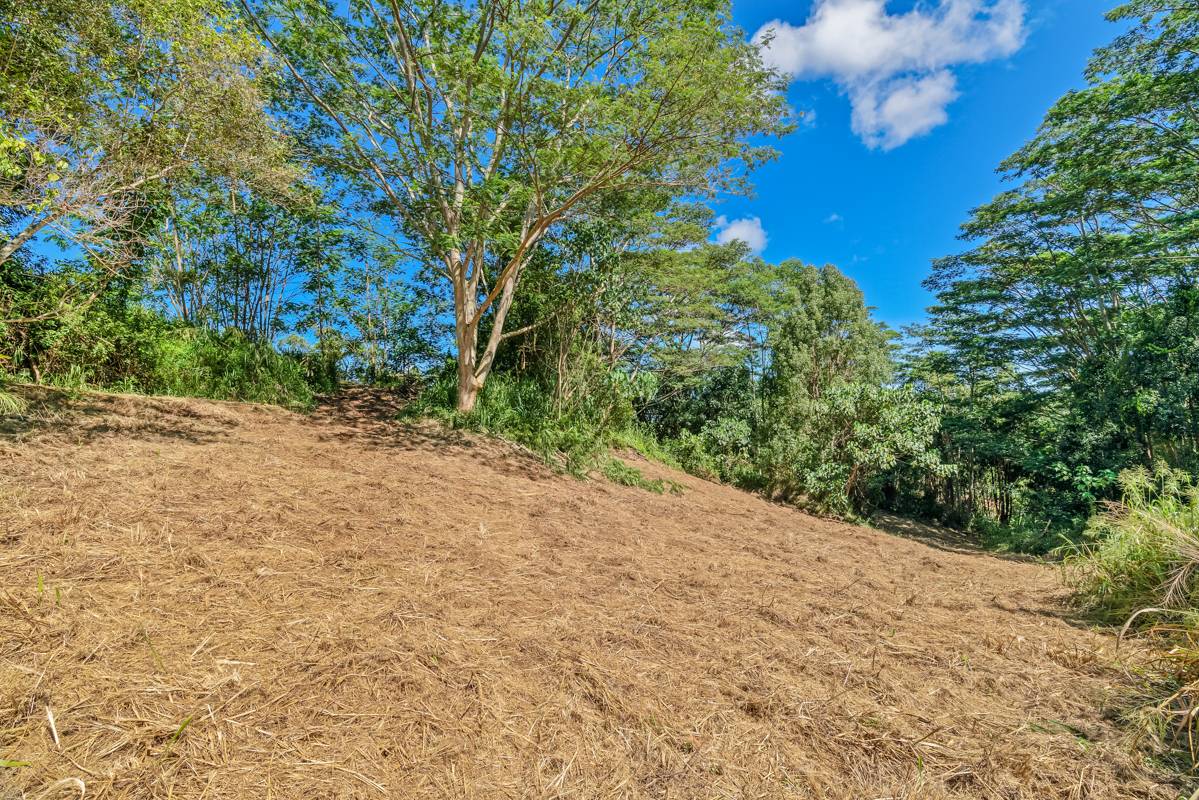 St, Unit 1B Kapaa, HI 96746 - Photo 5 of 8