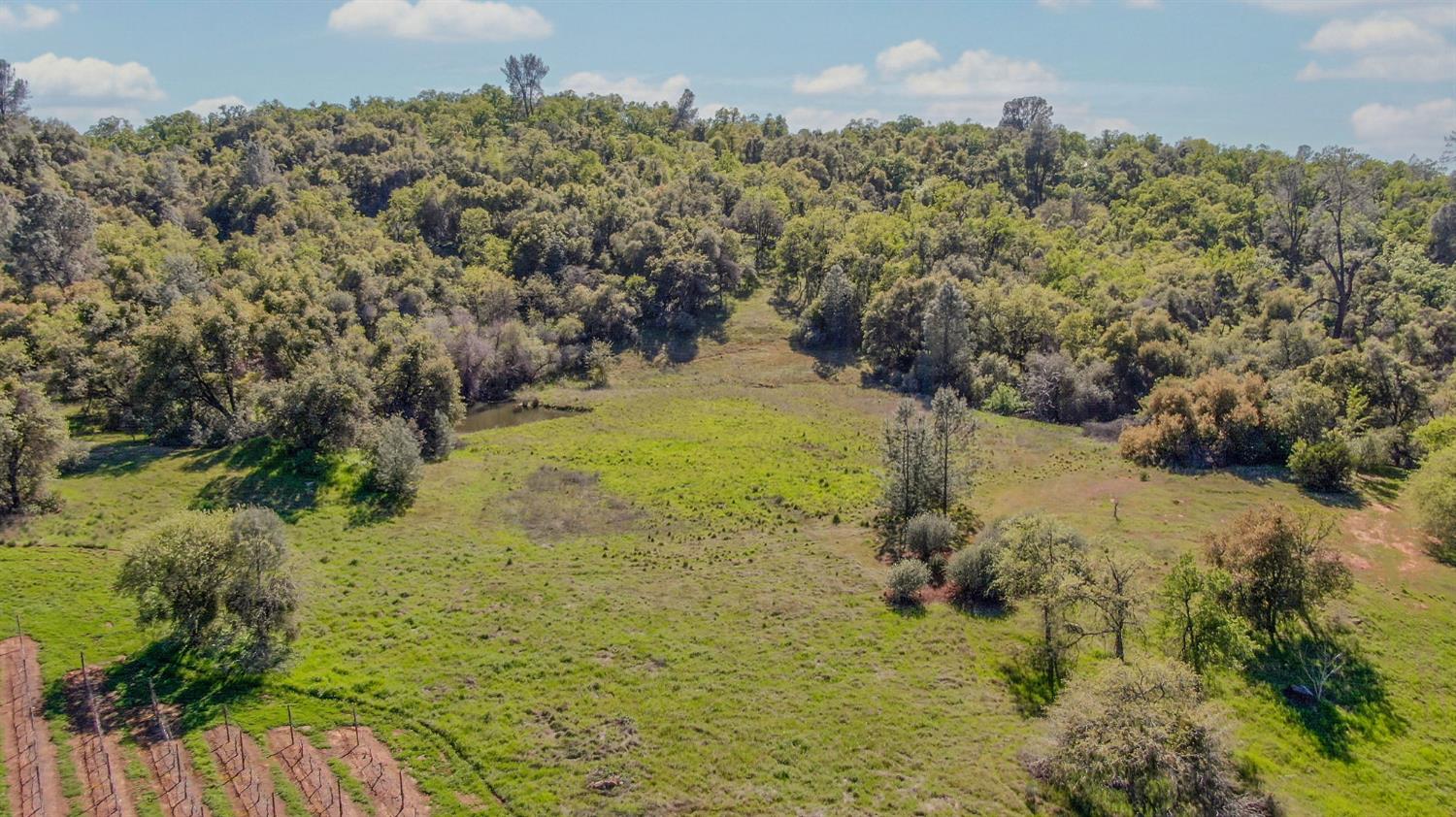 360 Pyshon Road Angels Camp, CA 95222 - Photo 12 of 28