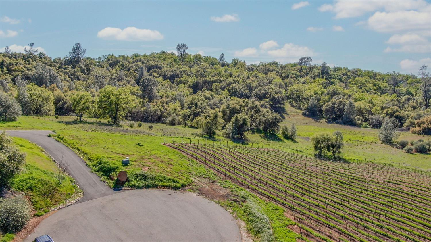 360 Pyshon Road Angels Camp, CA 95222 - Photo 13 of 28