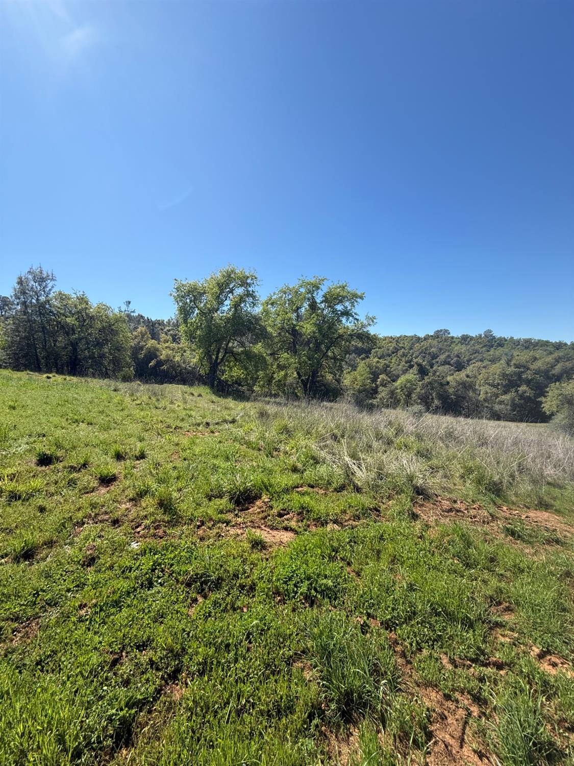 360 Pyshon Road Angels Camp, CA 95222 - Photo 22 of 28