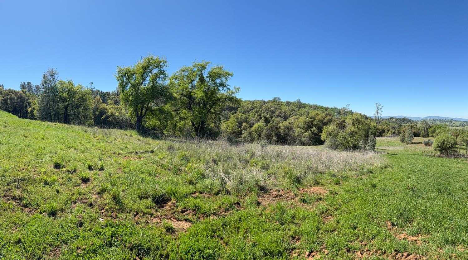 360 Pyshon Road Angels Camp, CA 95222 - Photo 23 of 28