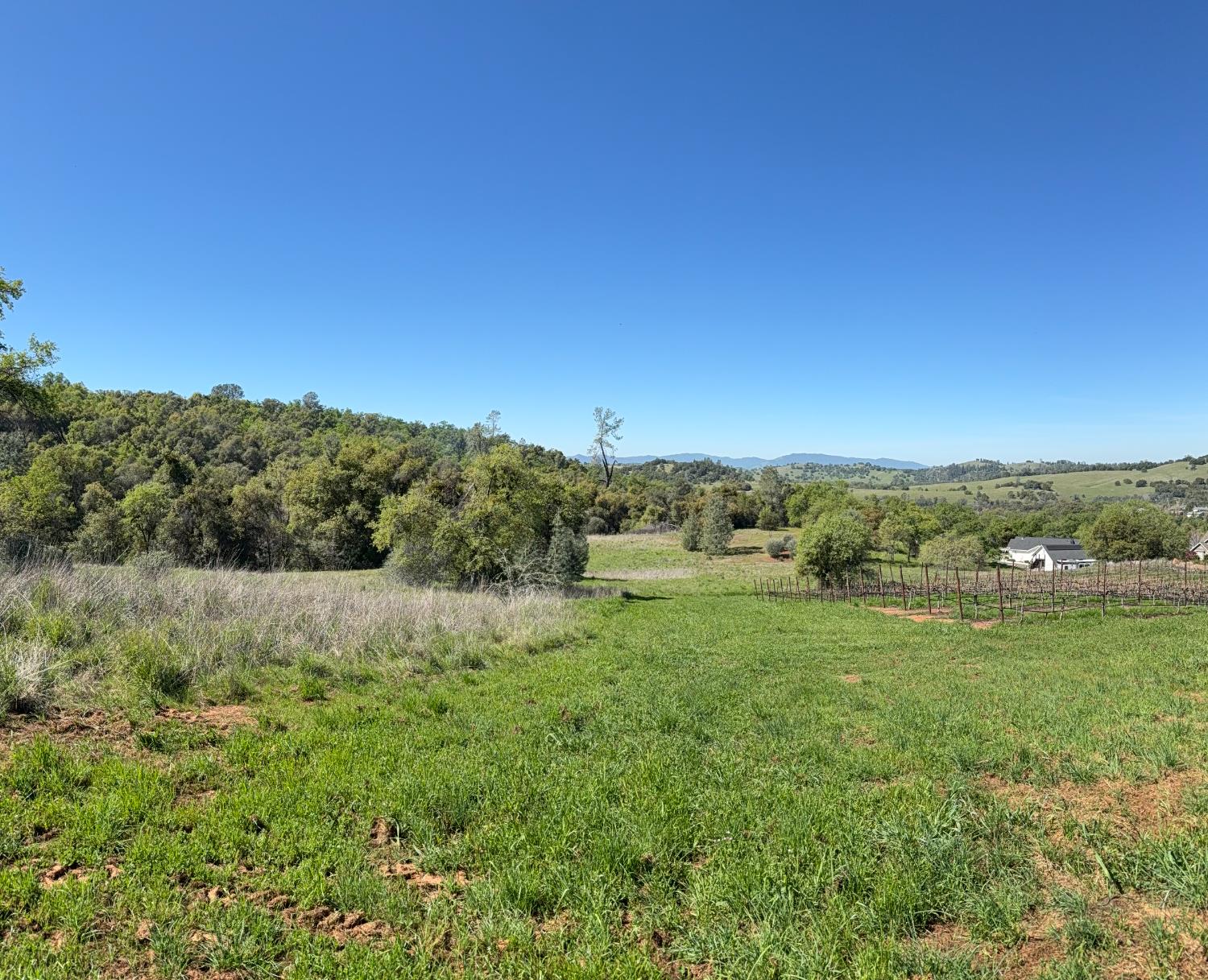 360 Pyshon Road Angels Camp, CA 95222 - Photo 25 of 28