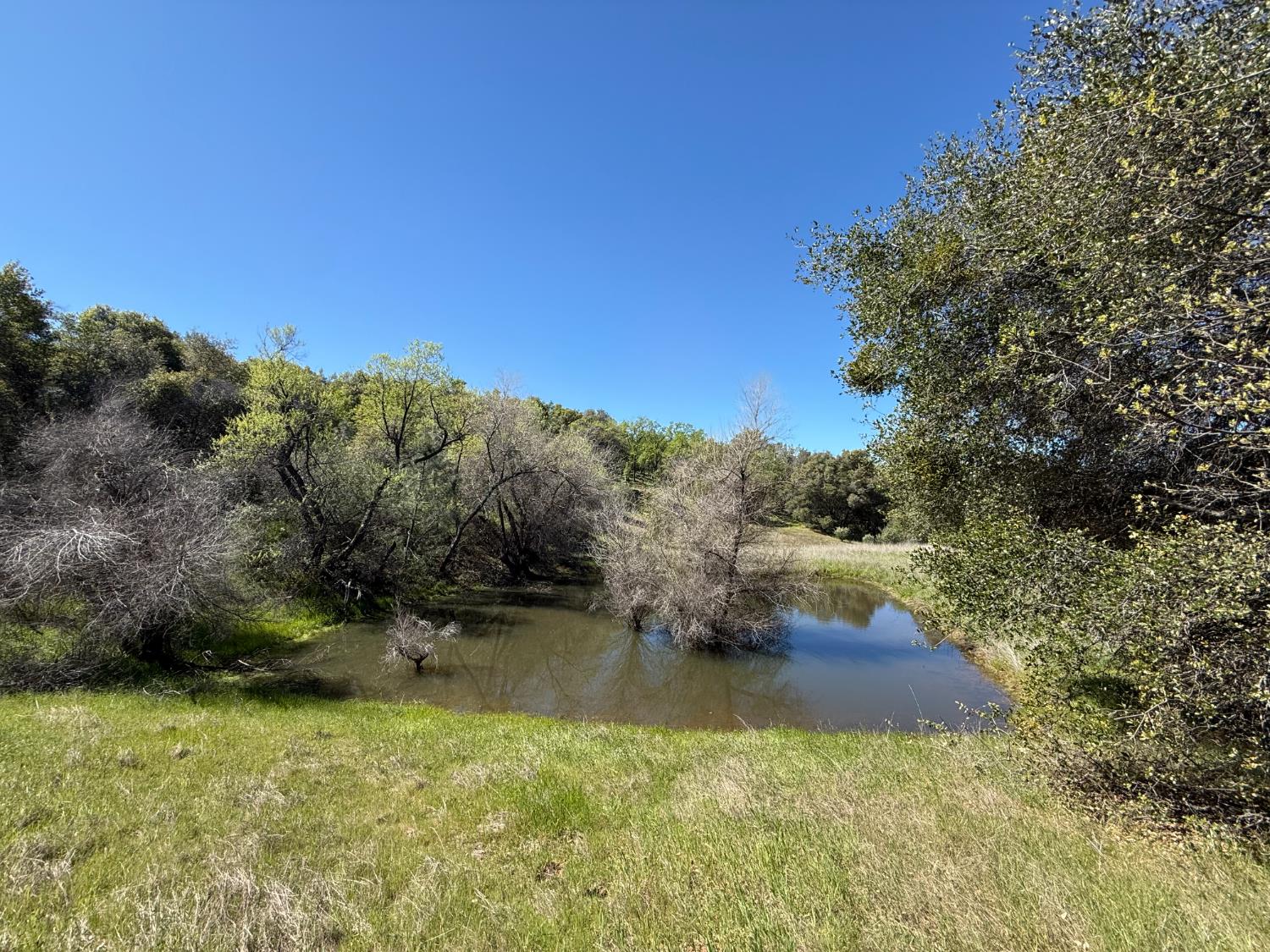 360 Pyshon Road Angels Camp, CA 95222 - Photo 26 of 28