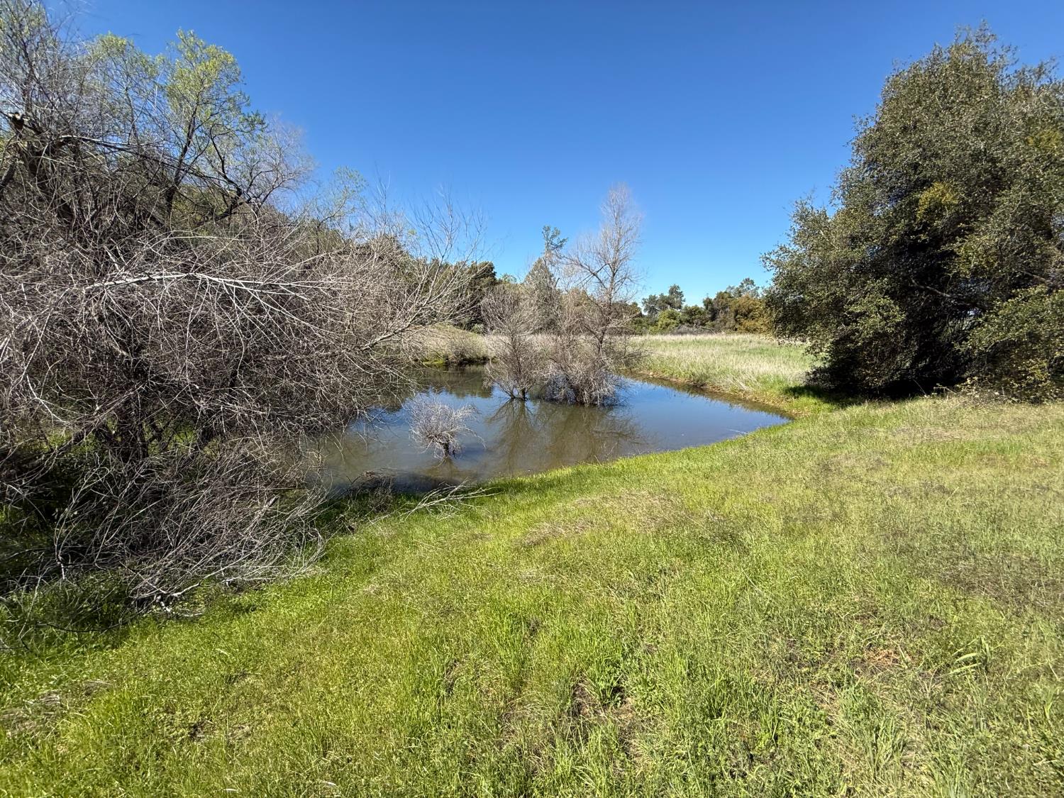 360 Pyshon Road Angels Camp, CA 95222 - Photo 27 of 28