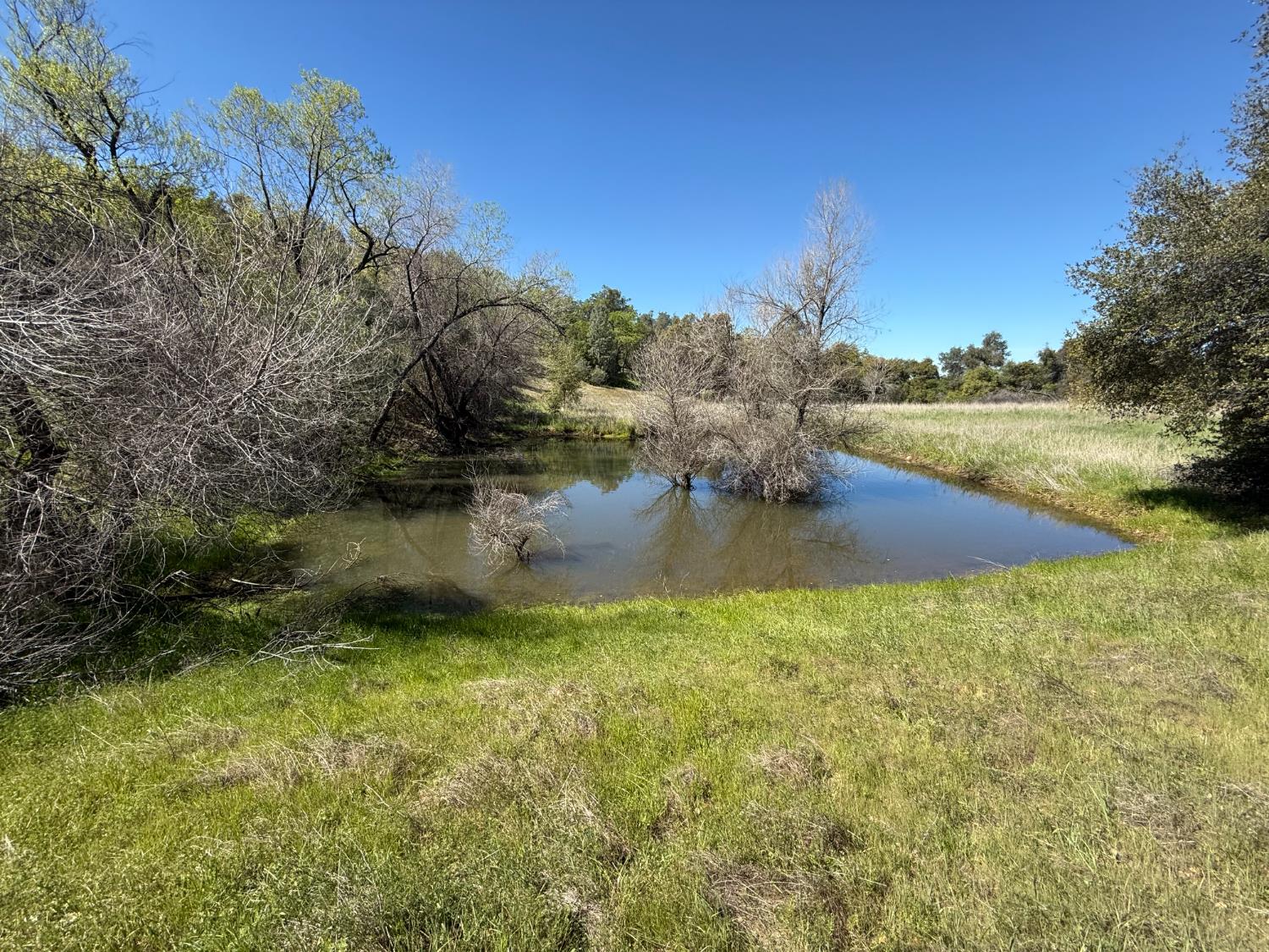 360 Pyshon Road Angels Camp, CA 95222 - Photo 28 of 28