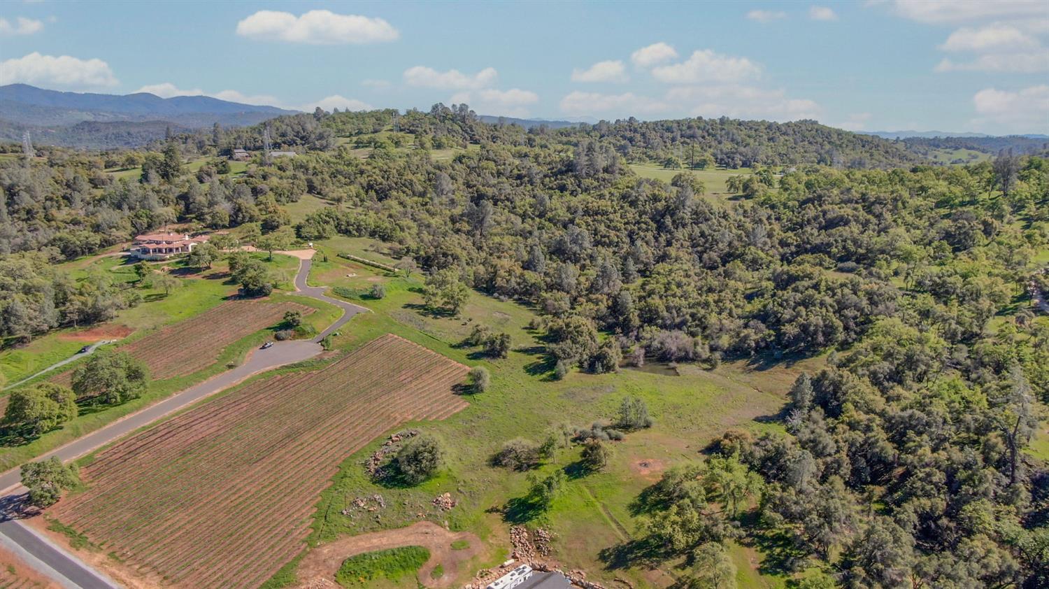 360 Pyshon Road Angels Camp, CA 95222 - Photo 3 of 28