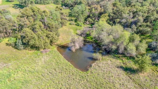 360 Pyshon Road Angels Camp, CA 95222 - Photo 31 of 32 a view of lake view