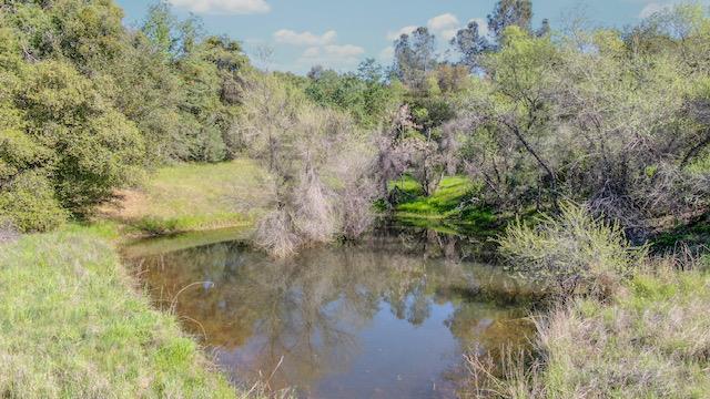 360 Pyshon Road Angels Camp, CA 95222 - Photo 32 of 32