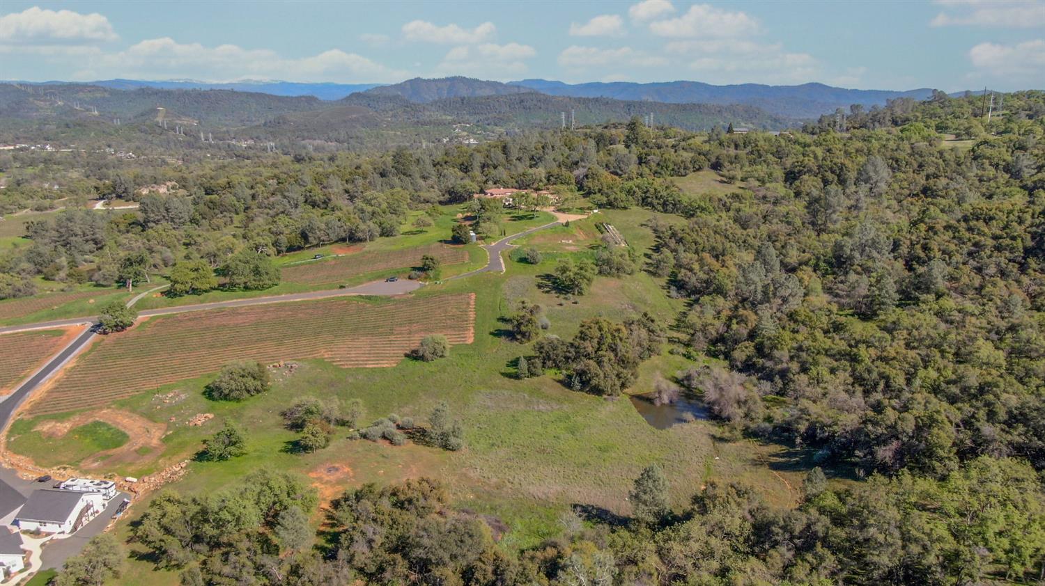 360 Pyshon Road Angels Camp, CA 95222 - Photo 4 of 28