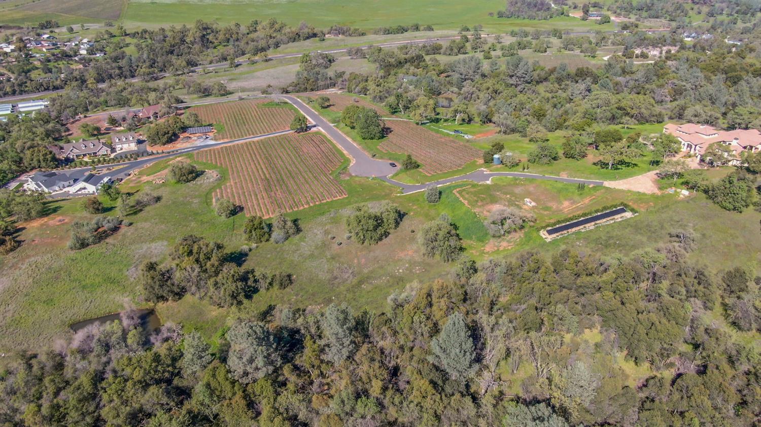 360 Pyshon Road Angels Camp, CA 95222 - Photo 6 of 28