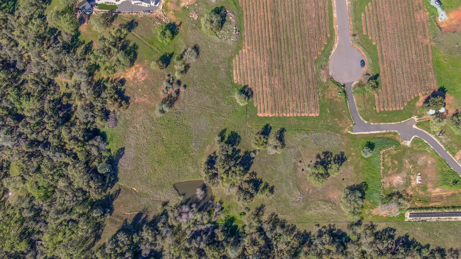 360 Pyshon Road Angels Camp, CA 95222 - Photo 10 of 28