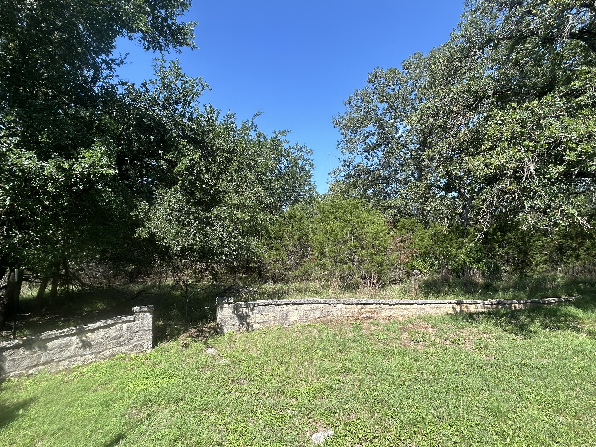 206 Wind Ridge Cove Georgetown, TX 78628 - Photo 13 of 19 a view of yard with green space