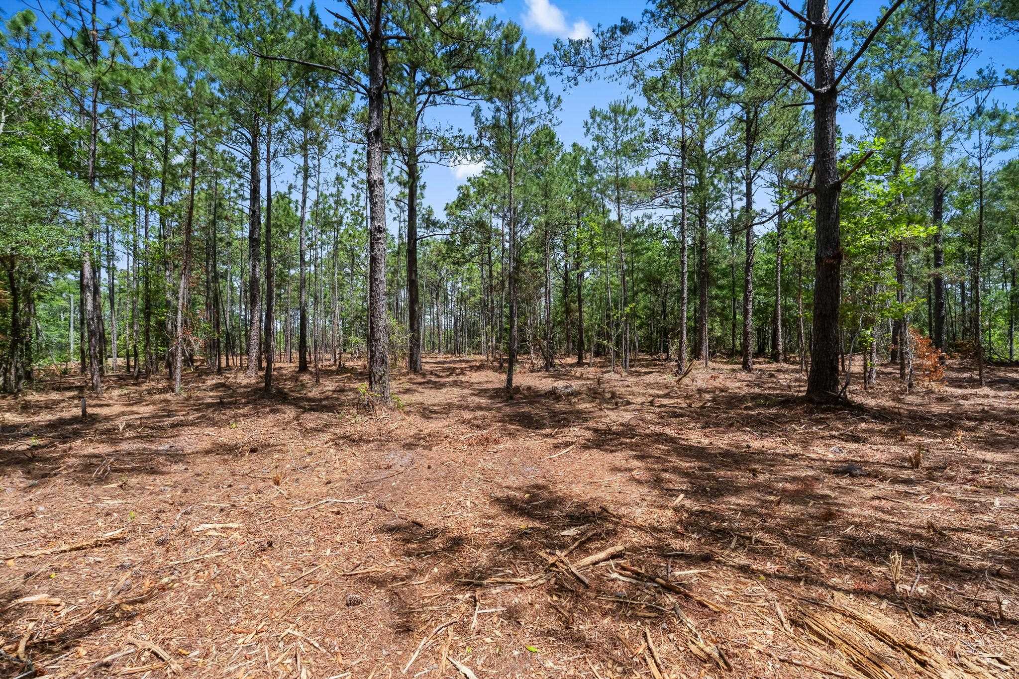 3600 Water Tower Road Longs, SC 29568 - Photo 10 of 55