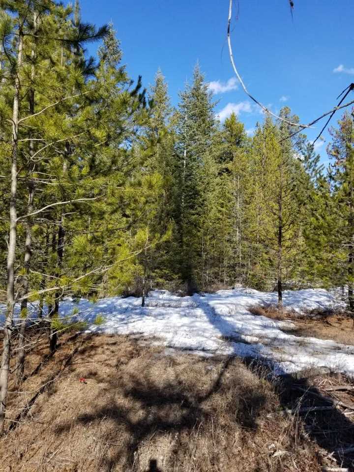 4072 Gardenspot Road, Unit 3 Loon Lake, WA 99148 - Photo 2 of 7 Gallery Image 2